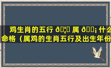 鸡生肖的五行 🦟 属 🐡 什么命格（属鸡的生肖五行及出生年份大全）